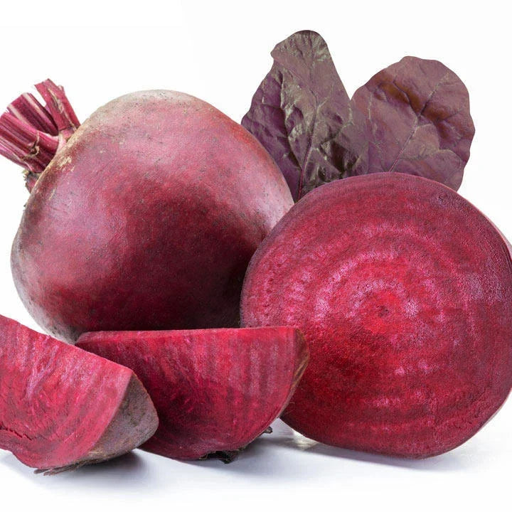 Bulls Blood Beet Seeds - Organic Beta vulgaris Vegetable Gardening Pack of 200 Seeds