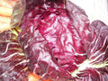 Radicchio Seeds - Palla Rosa Non-GMO Heirloom Vegetable Seeds - 500 Count for Garden, Salad, and Gourmet Cooking