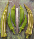 Louisiana Longhorn Cowhorn Okra Seeds - Heirloom, Non-GMO, Abelmoschus esculentus, 25+ Seeds for Garden, Container & Raised Bed Planting
