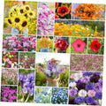 Annual Wildflower Mixed Seeds - 1/4 lb, 120,000+ Seeds for Gardens & Pollinators