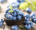 Blueberry Seeds 100+ Pack | Vaccinium corymbosum Highbush Fruit Seeds for Garden, Full Sun, Well-Drained Soil