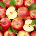 Red Delicious Apple Seeds - 25+ Malus domestica Fruit Tree Seeds for Home Garden Planting