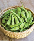 Be Sweet Japanese Edamame Soy Bean Seeds – Glycine max, Non-GMO, 15+ Seeds for Home Garden, Container, Edible, Nutritious, Fast-Growing