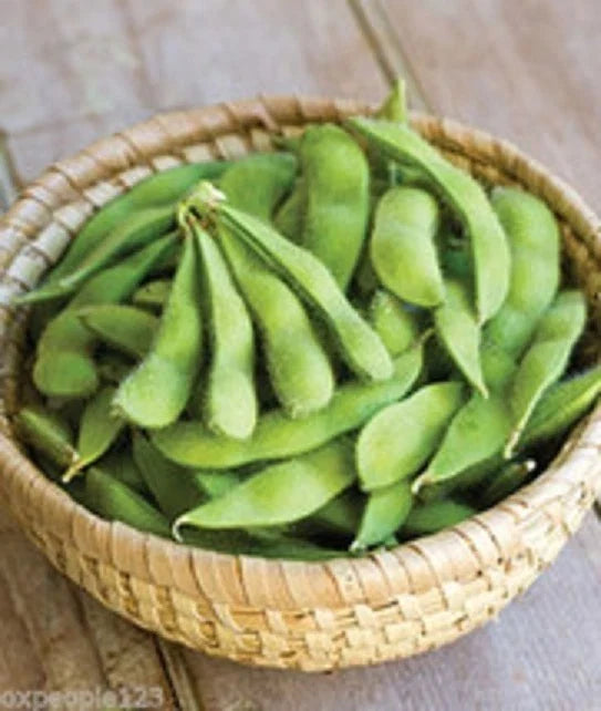 Be Sweet Japanese Edamame Soy Bean Seeds – Glycine max, Non-GMO, 15+ Seeds for Home Garden, Container, Edible, Nutritious, Fast-Growing