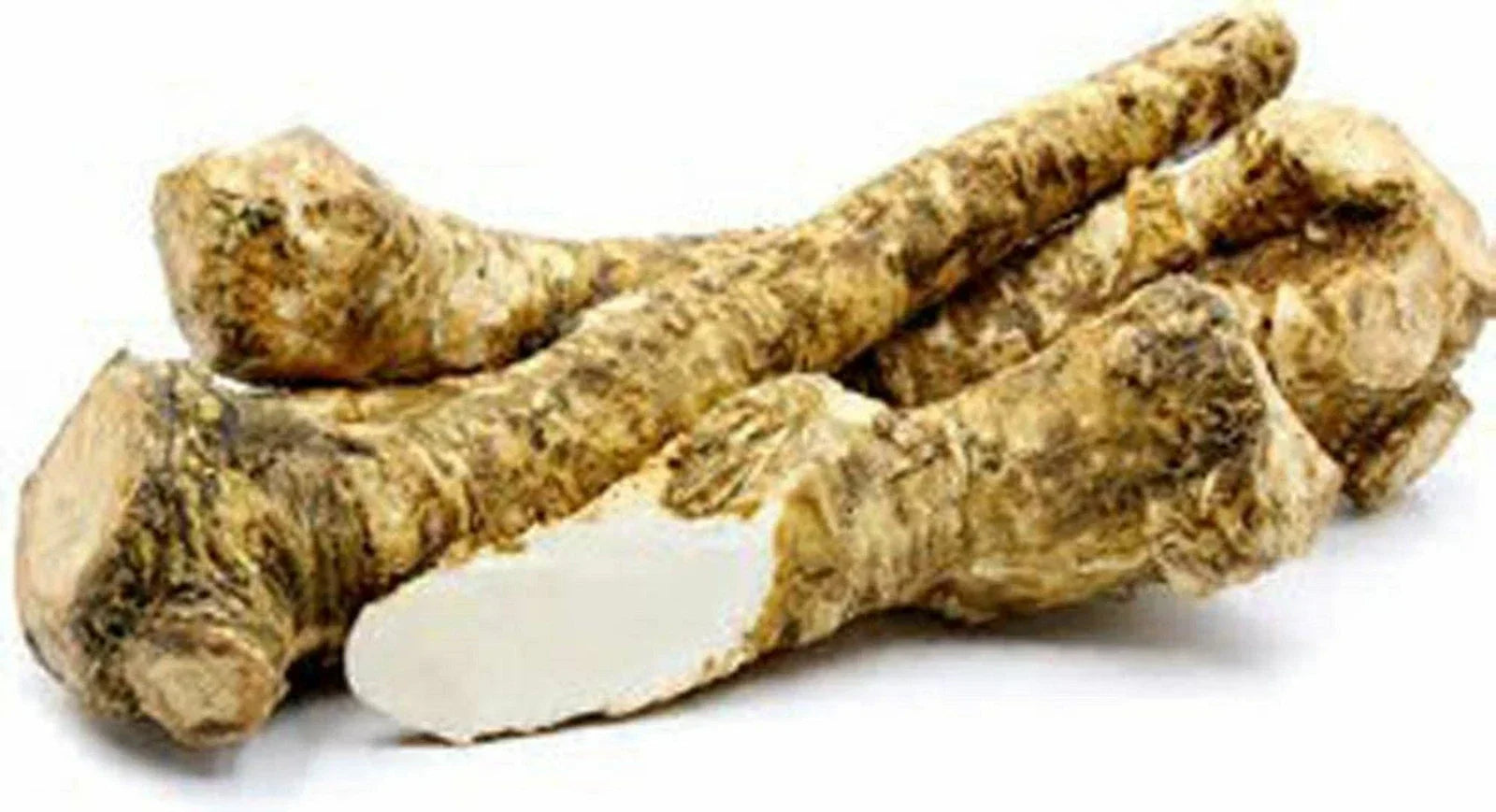Horseradish Root Whole - Fresh Edible or Planting Armoracia rusticana Non-GMO