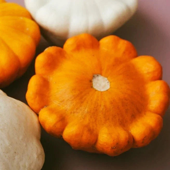 Orange Patty Pan Seeds - Heirloom Bush Scallop Squash - Cucurbita pepo - Compact, Vibrant Orange, Annual Vegetable, Full Sun, 20 Seeds