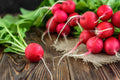 Cherry Belle Radish Seeds - Organic Non-GMO Heirloom Raphanus sativus, Pack of 200+ for Home Garden, Fast-Growing, USA Free Shipping