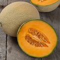 Hales Best Jumbo Cantaloupe Seeds – Non-GMO, Cucumis melo, 100 Pack, Sweet, Juicy, Vining, Summer Garden Plant