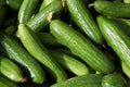 Organic Heirloom Muncher Cucumber Seeds - Non-GMO, Fresh, for Home Gardens - Cucumis sativus
