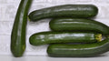 Dunja Zucchini Squash Seeds - 25+ Pack, Cucurbita pepo, Non-GMO, USA-Grown, High Germination, Home Garden, Container Planting