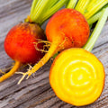 Golden Beet Seeds - Yellow Beets for Planting - Orange Beetroot 'Gold Sunset' Beta vulgaris, Non-GMO, 200 Seeds