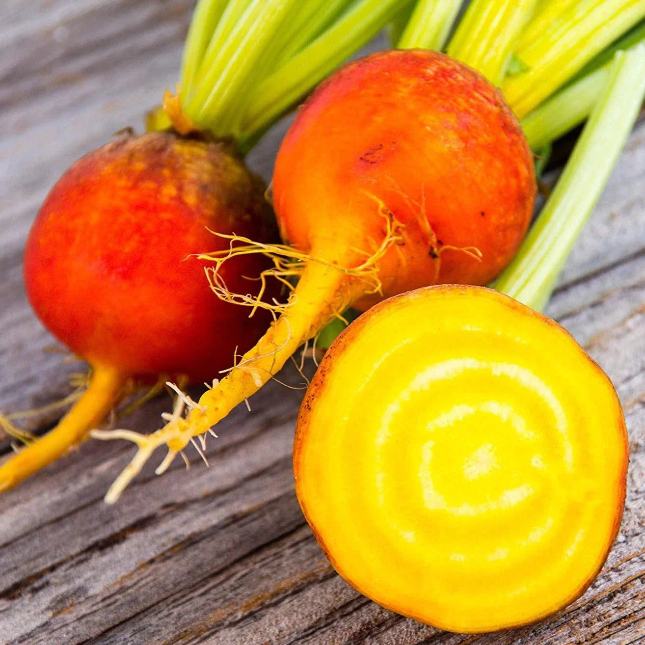 Golden Beet Seeds - Yellow Beets for Planting - Orange Beetroot 'Gold Sunset' Beta vulgaris, Non-GMO, 200 Seeds