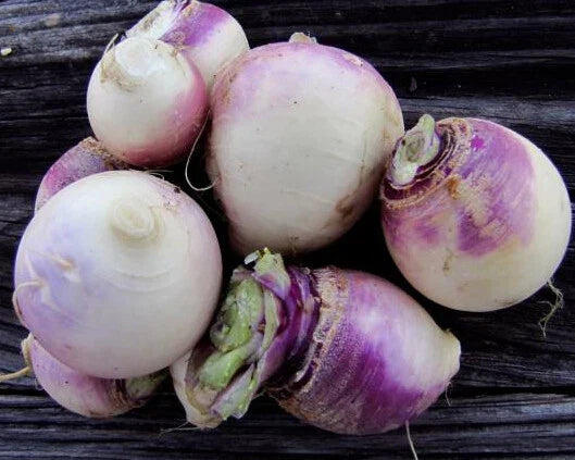 500+ Turnip Seeds Purple Top White Globe Brassica rapa Vegetable Seeds for Gardening, Cool-Season, Non-GMO, Bulk Pack