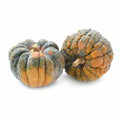 Black Futsu Pumpkin Seeds - Heirloom Cucurbita maxima for Garden Planting, 25+ Premium Seeds, Organic, USA Grown