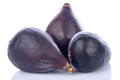 LSU Gold Fig Seeds - 100+ Premium Ficus carica Fruit Tree Seeds for Garden, Container, USA