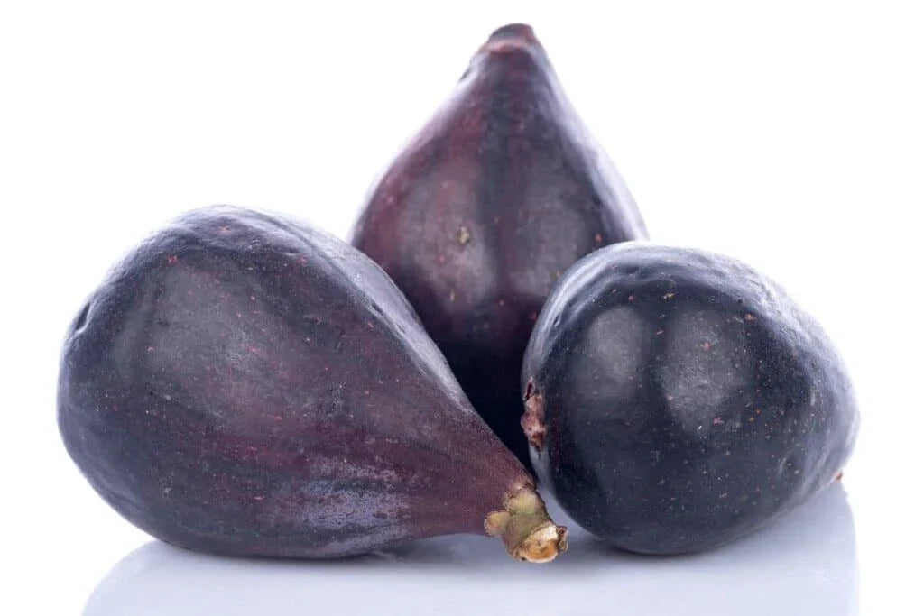 LSU Gold Fig Seeds - 100+ Premium Ficus carica Fruit Tree Seeds for Garden, Container, USA