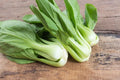 Canton Pak Choi Seeds 2g – Chinese Cabbage Variety Brassica rapa subsp. chinensis for Home Garden, Salad, Stir-Fry