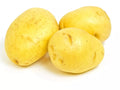 Yukon Gold Seed Potatoes - 3 lb Starter Pack, Yellow Skin, Creamy Flesh, Early Variety, Solanum tuberosum