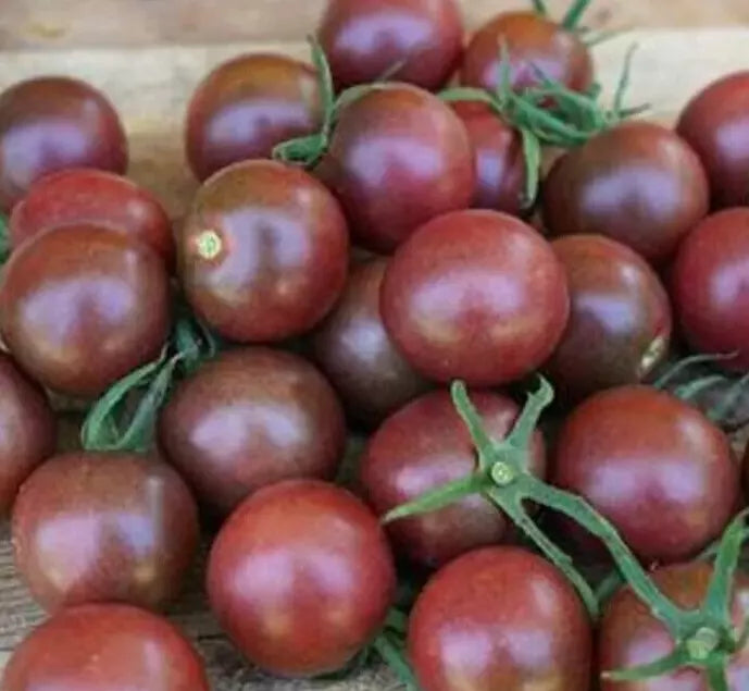 Black Cherry Tomato Seeds - 20+ Indeterminate Variety for Salad, Organic Solanum lycopersicum, Juicy, Sweet, Rich Color