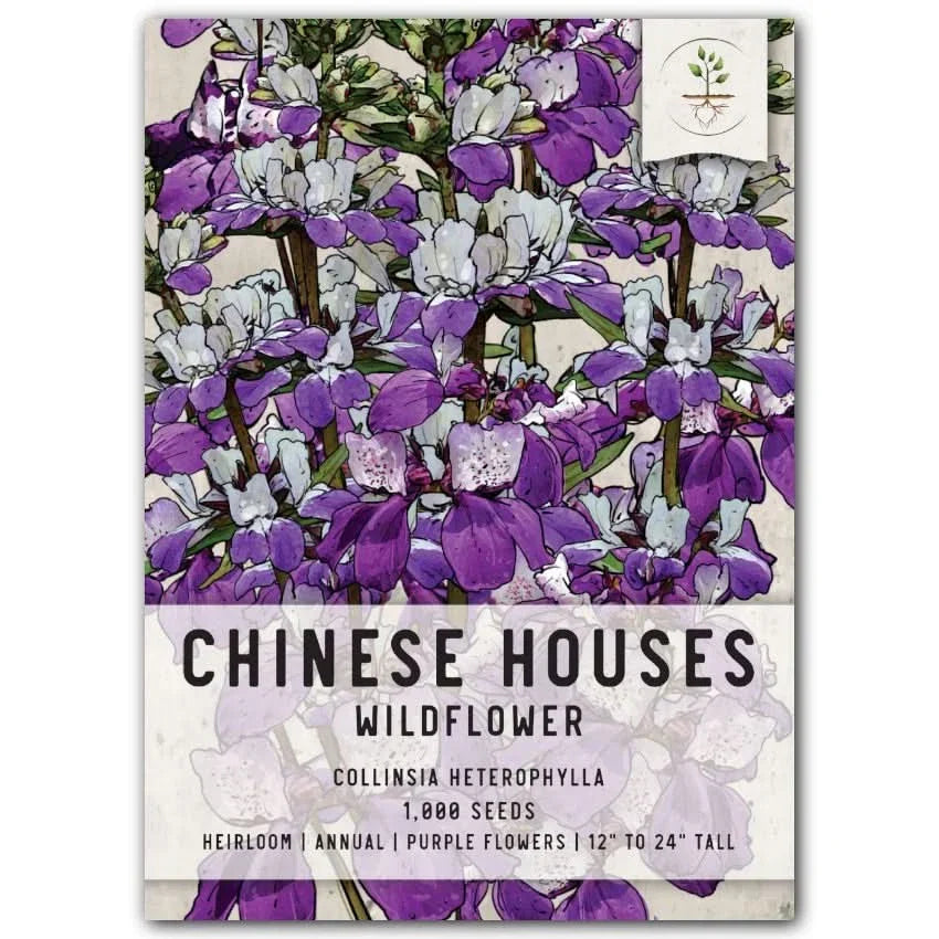 Chinese Houses Seeds - Collinsia heterophylla - Colorful Wildflower Seeds for Borders & Containers