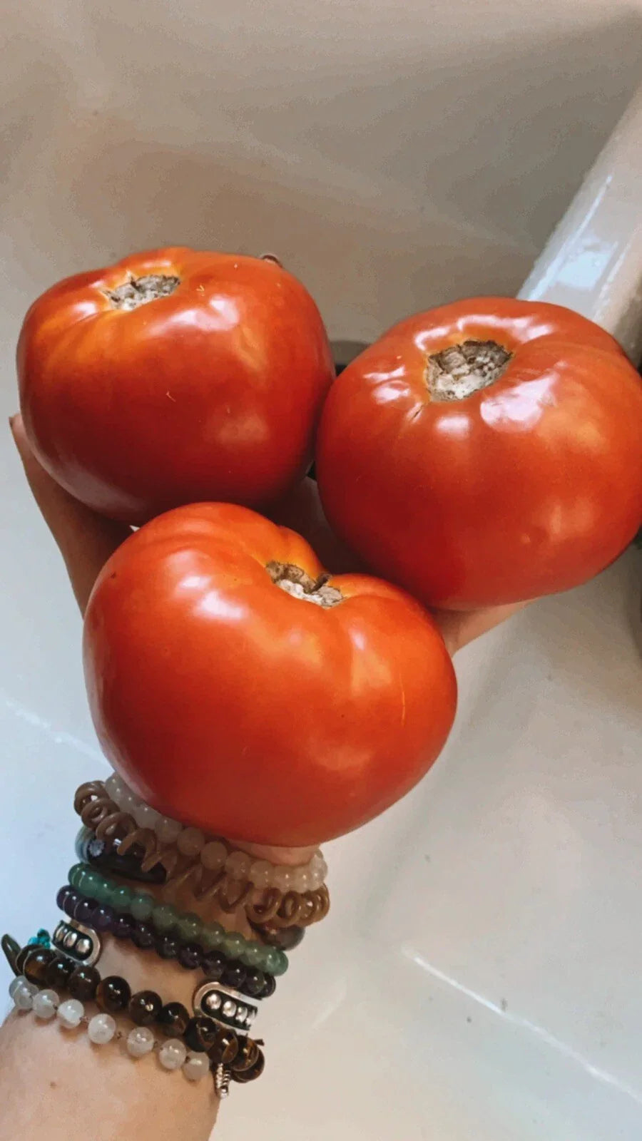 Large Beefsteak Tomato Seeds - 50 Organic Non-GMO Solanum lycopersicum for Home Garden, Salad, Sauce