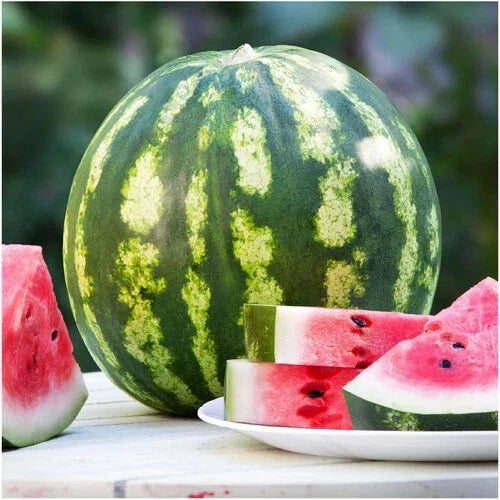 Crimson Sweet Watermelon Seeds - Heirloom Non-GMO Citrullus lanatus for Garden Planting, Juicy Red Flesh, Large Round Fruit