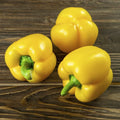 Mini Yellow Bell Pepper Seeds - Organic Non-GMO Capsicum annuum, 100+ Seeds, Compact Bush, Perfect for Container Gardening