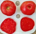 Mortgage Lifter Tomato Seeds - Heirloom Lycopersicon lycopersicum - 25 Pack, Large Fruit, Non-GMO, Open-Pollinated