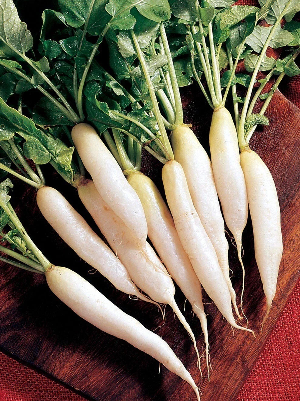 White Icicle Radish Seeds - Heirloom Organic Non-GMO Raphanus sativus, 200+ Seeds for Home Garden