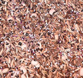 No-Till Cover Crop Seed Mix - 10 Varieties for Sustainable Agriculture, Soil Health, Weed Suppression, Winter Rye, White Clover