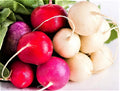 Easter Egg Radish Seeds – Non-GMO Pack of 200+ Raphanus sativus for Home Garden, Salad & Garnish