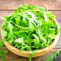 Arugula Seeds - 200 Non-GMO Microgreens for Salad and Herb Gardening - Eruca sativa