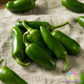Jalapeno Hot Pepper Seeds - 25+ Pack, Capsicum annuum, Spicy Peppers for Garden & Container Planting