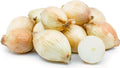 Maui Onion Seeds - 500+ Count Heirloom Allium cepa Bulb-Forming Garden Seeds, USA Grown