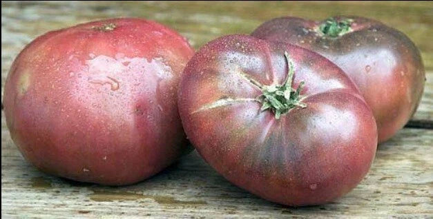 Cherokee Purple Tomato Seeds - Heirloom Black Tomato Seeds - Solanum lycopersicum - 30 Pack for Home Garden & Containers