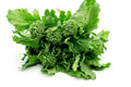 Broccoli Raab Seeds Non-GMO Packet | Brassica rapa Heirloom Seeds for Home Gardening