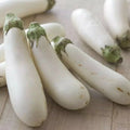 White Long Eggplant Seeds - 15 Solanum melongena Heirloom Vegetable Seeds for Home Garden, Container, Raised Bed Cultivation