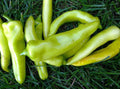 Sweet Banana Pepper Seeds - Capsicum annuum - Non-GMO Heirloom Garden Vegetable Seeds - Set of 100+