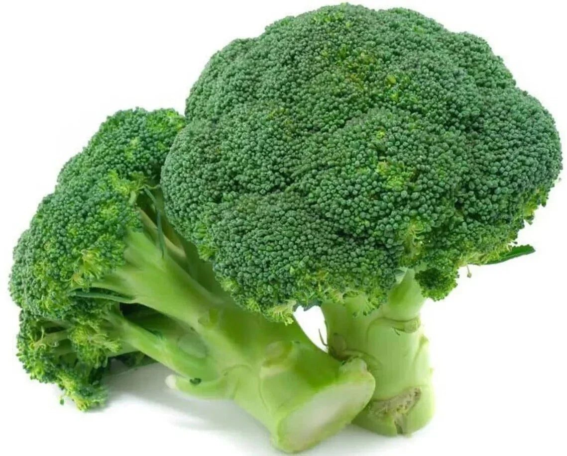 1000+ Organic Broccoli Seeds Waltham 29 Heirloom Non-GMO Vegetable Seeds for Home Garden, Cool-Season, Brassica oleracea