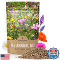 Bulk Wildflower Seeds 1/4 Pound - Quick Blooming Annual Mix with 30,000+ Seeds