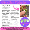 Mystery House Plant Cuttings Set of 6 – Indoor Propagation Variety for Home Decor & Plant Lovers