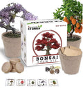 Bonsai Tree Kit - All-in-One Plant Set with Ficus, Juniper, Pine, Maple, Elm - Grow Miniature Trees for Indoor & Outdoor