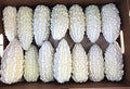 Exotic White Bitter Gourd Seeds - 10 Pack, Momordica charantia, Rare Variety for Planting, Climbing Vine, Edible Fruit