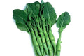 Big Stem Chinese Broccoli Seeds - Non-GMO Heirloom Brassica oleracea var. italica Seeds for Home Gardening