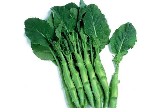 Big Stem Chinese Broccoli Seeds - Non-GMO Heirloom Brassica oleracea var. italica Seeds for Home Gardening