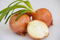 Yellow Sweet Spanish Onion Seeds - Non-GMO Heirloom Allium cepa, Bulb-Forming, Full Sun, Garden, 100 Seeds