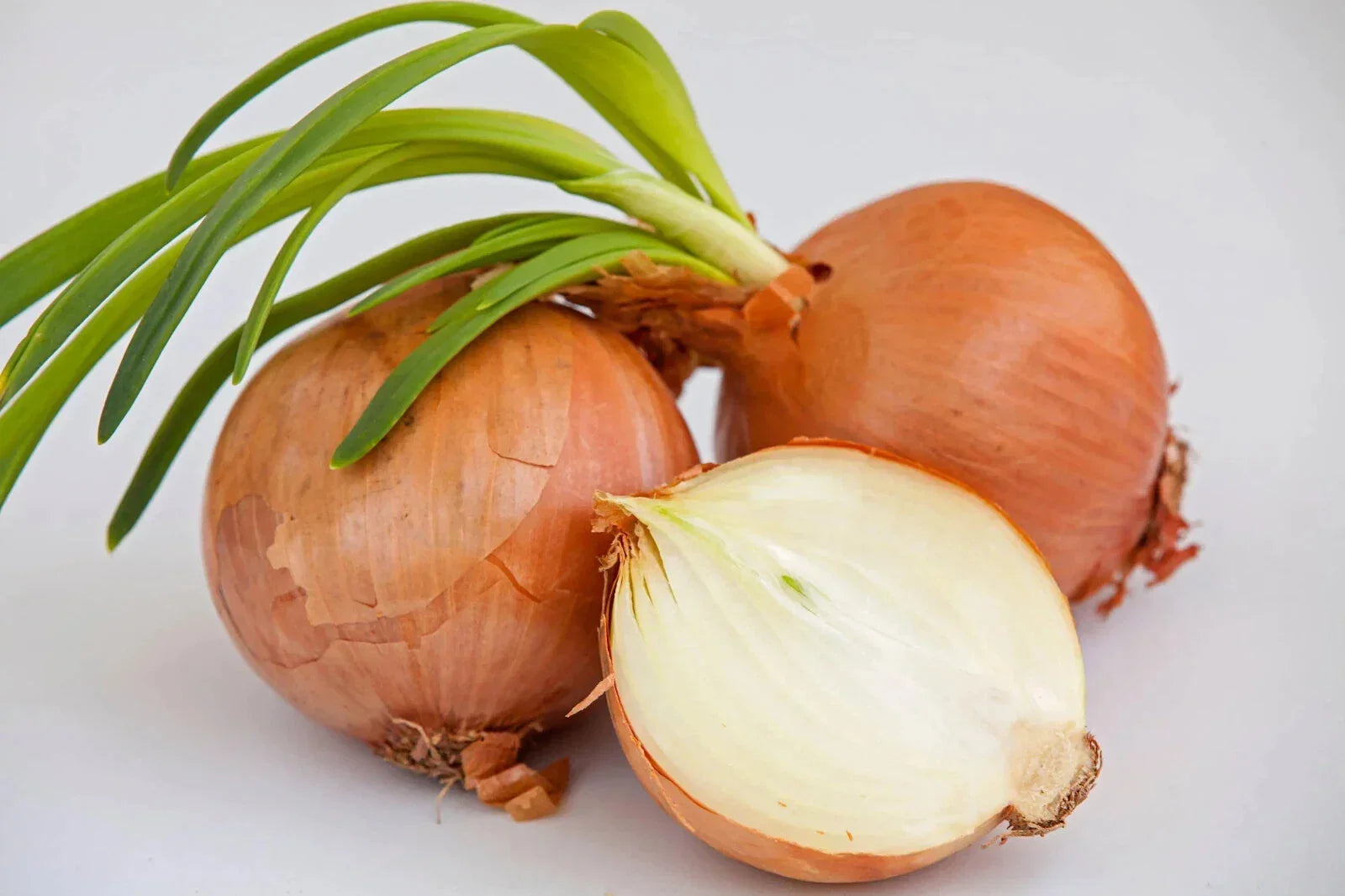 Yellow Sweet Spanish Onion Seeds - Non-GMO Heirloom Allium cepa, Bulb-Forming, Full Sun, Garden, 100 Seeds
