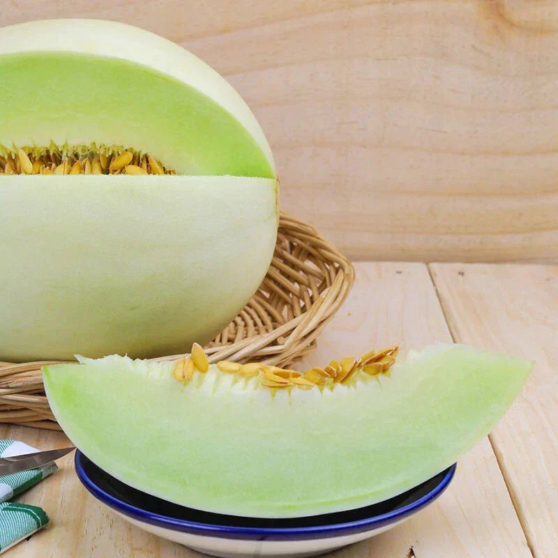 Honeydew Melon Seeds - 5 Pack, Sweet Cucumis melo var. inodorus, Vining, Non-GMO, for Home Garden & Container Planting