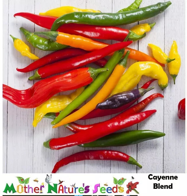 Cayenne Hot Pepper Seeds - Fiesta Blend, Non-GMO, 90 Seeds, Capsicum annuum, Spicy Peppers for Garden & Culinary Use