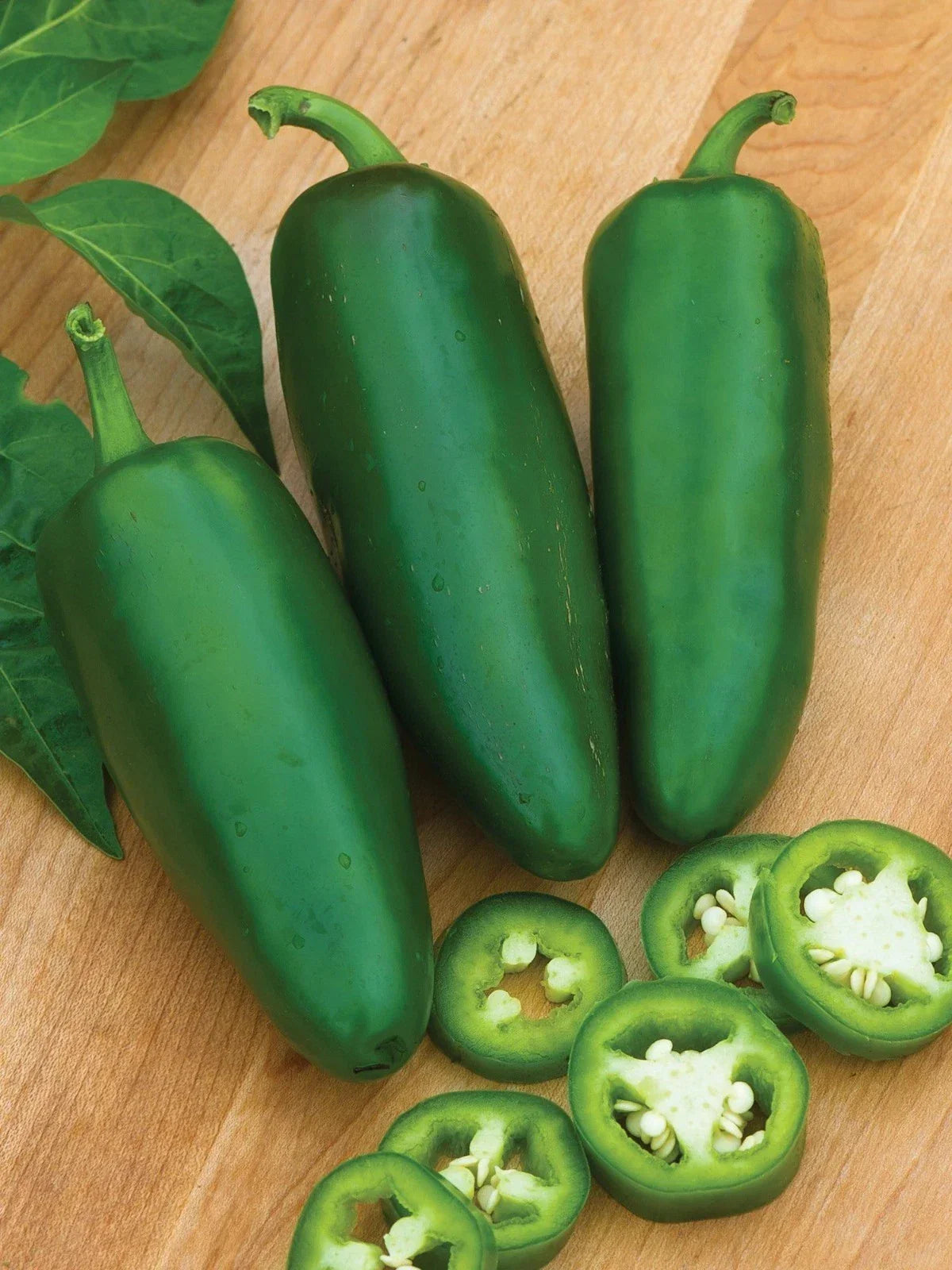 Tam Jalapeno Pepper Seeds - Organic Heirloom Non-GMO Capsicum annuum, Hot Pepper Seeds for Home Garden & Container Growing